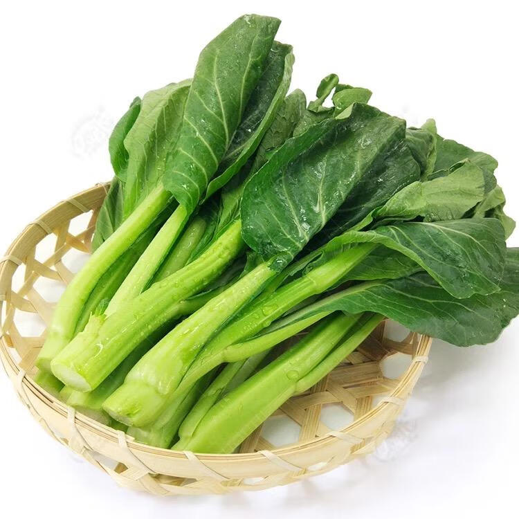 四九菜心种子阳台白菜苔四季播盆栽蔬菜种籽广东油青甜心菜孑莱子