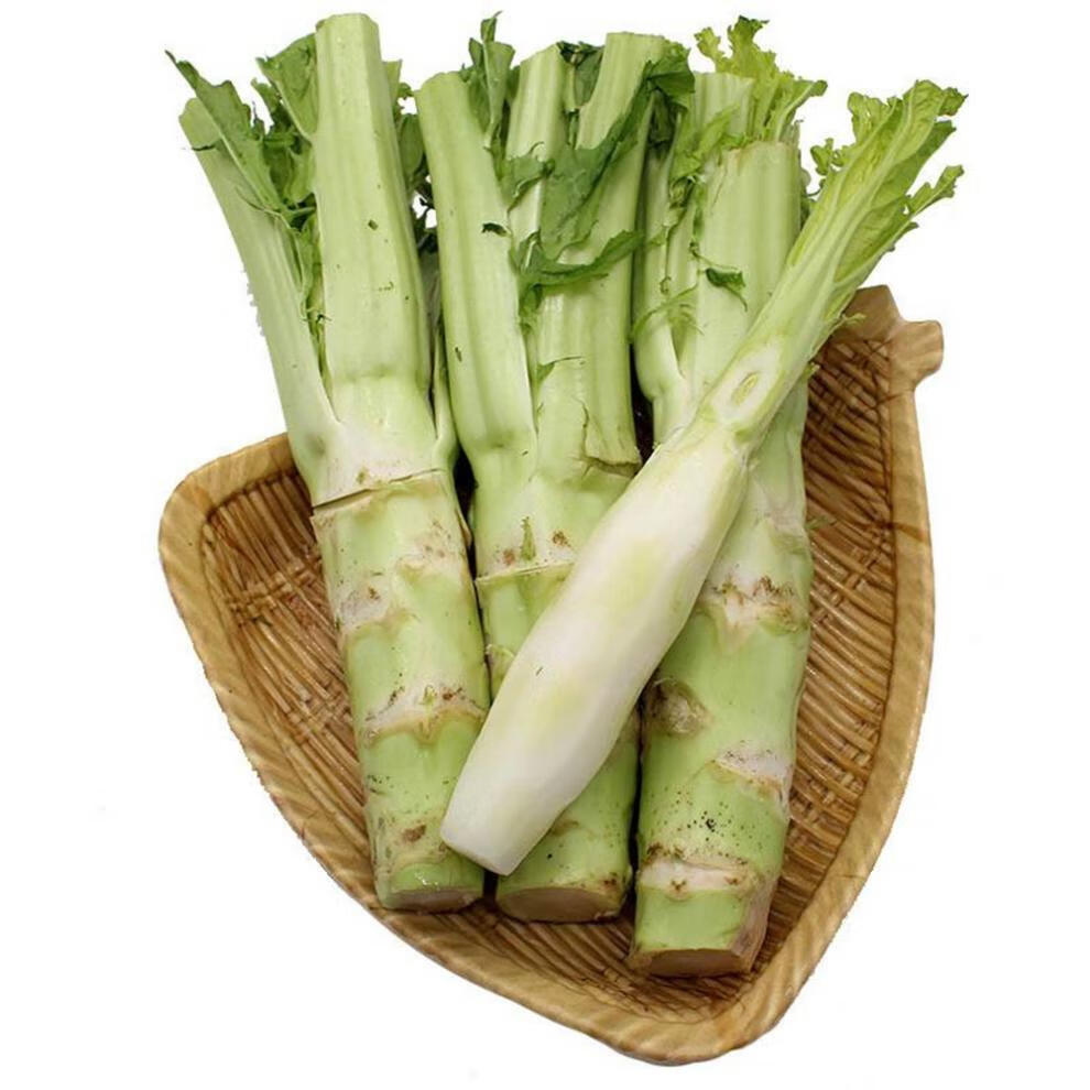 棒菜种子四川种籽笋子芥秋季芥菜头籽种棒蔬菜菜种孑菜籽花禾之元 新