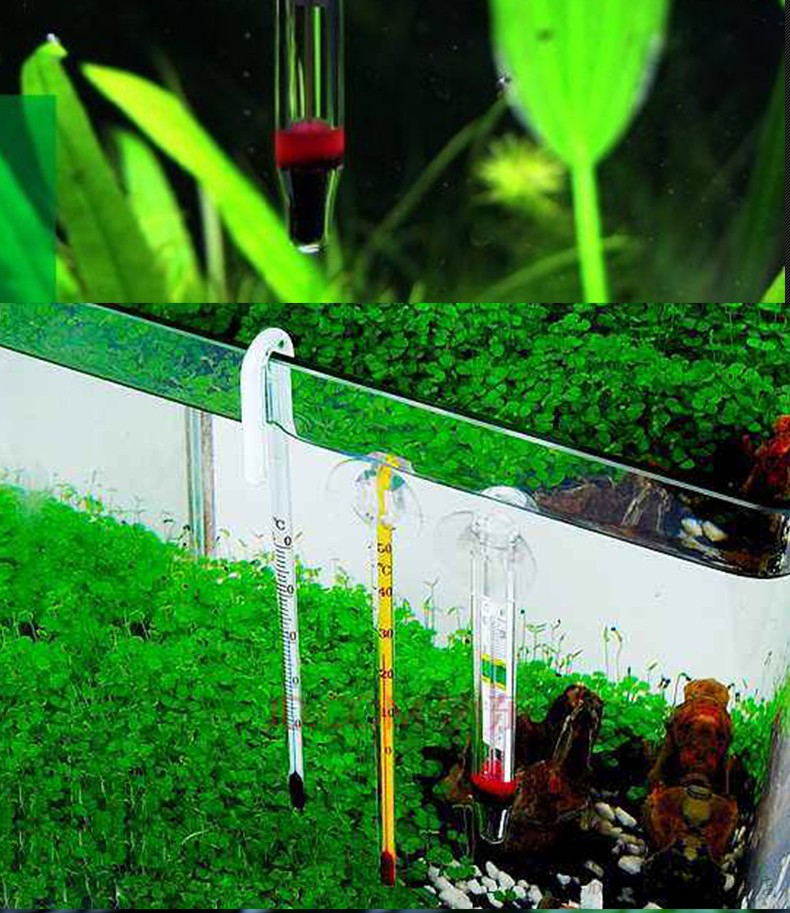 鱼缸温度计养鱼水温计水族热带鱼测温仪器乌龟缸高精度数显温度表