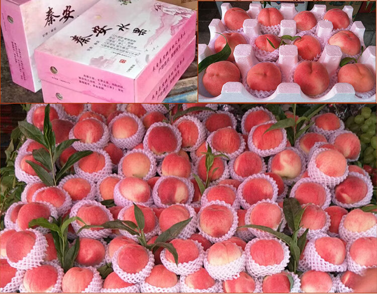 正宗甘肃天水秦安撕皮水蜜桃新鲜桃子水果脆桃毛桃王蜜桃当季现摘产地