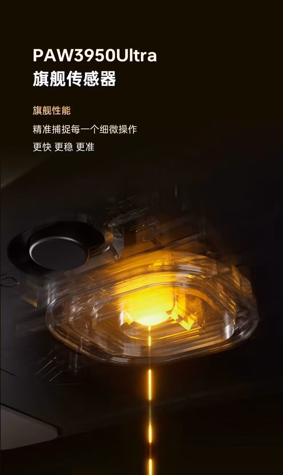 00833de67cc42671.jpg.avif