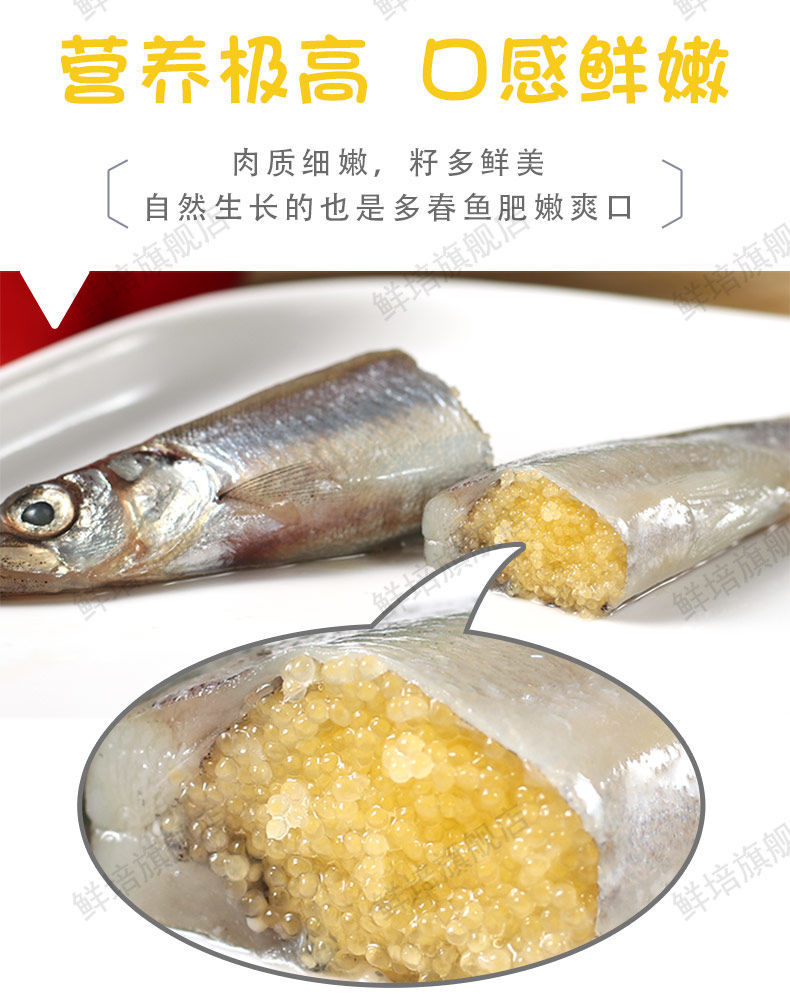 满籽多春鱼新鲜多籽鱼冷冻烧烤商用冰鲜特大带籽即食海鲜水产鱼籽二斤