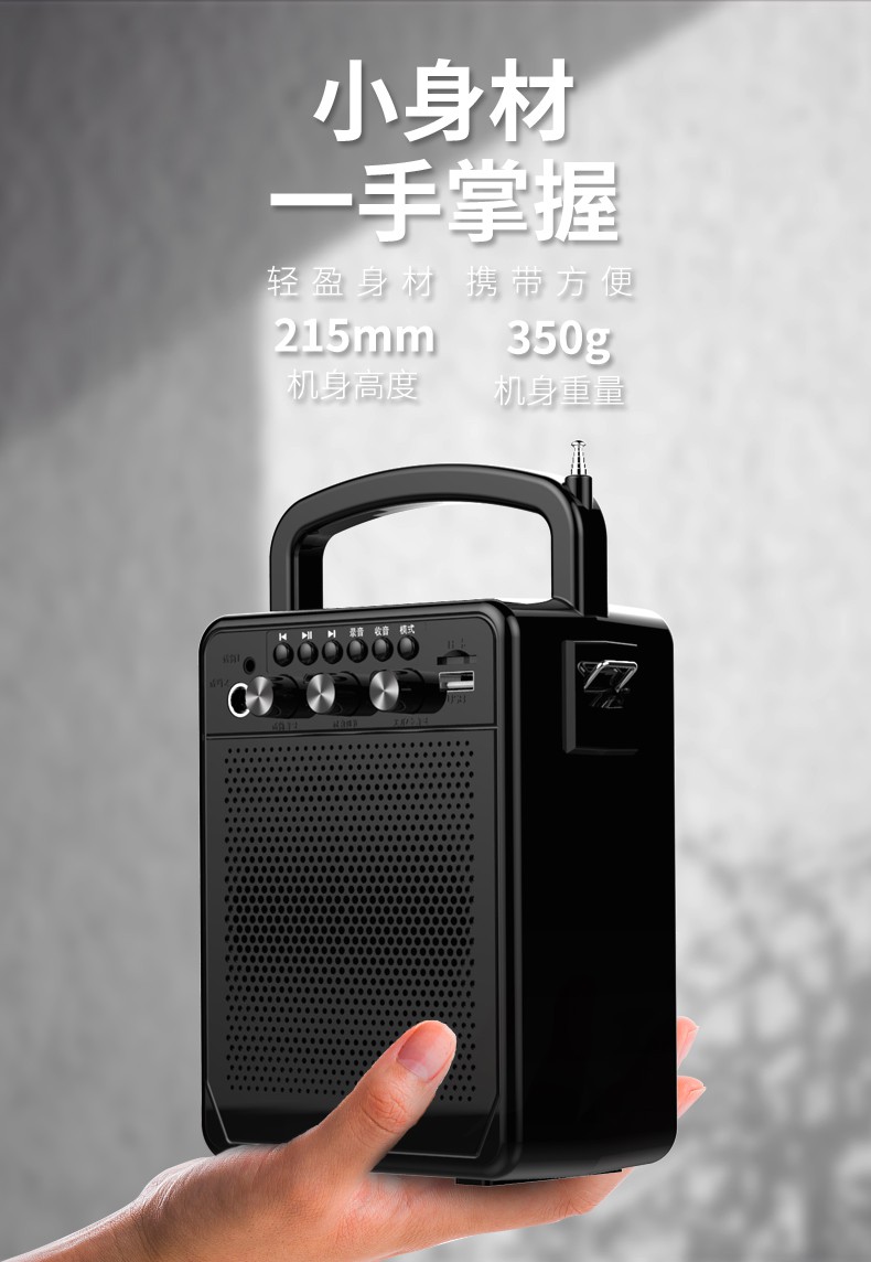法玛奇(favmarch) 新科(shinco)通用蓝牙音箱充电插卡大音量摆摊收款