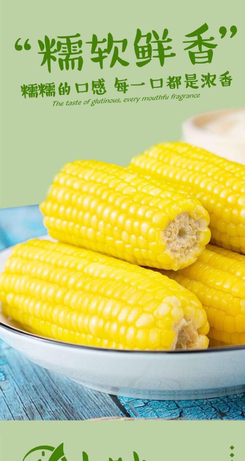 田里有草东北甜糯玉米 吉林新鲜玉米棒子 早餐代餐去皮苞米 田里有草
