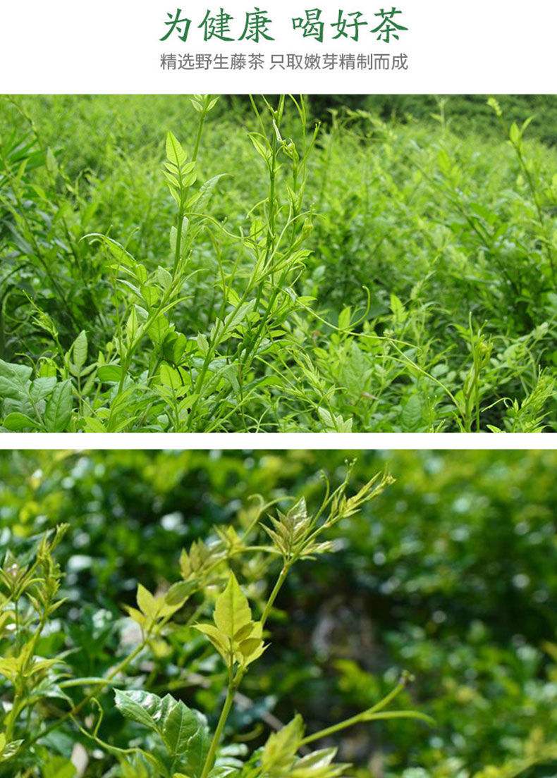 世界硒都恩施土家甘露土特产龙须芽尖莓茶含硒黄酮养生茶 一袋125克