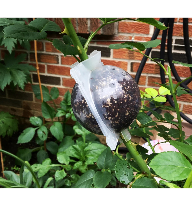 嫁接高压包高压生根繁殖球扦插高压球植物高压繁殖盒月季生根盒 大号