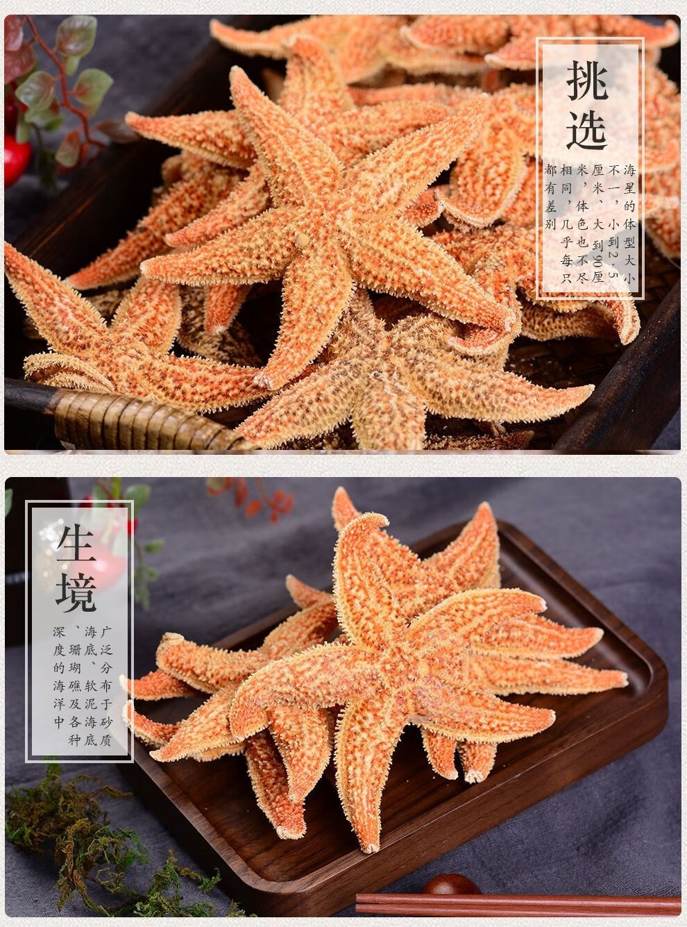 广东海星干 多规格 海星中材煲汤泡酒用 海星250克左右 海龙5条【图片