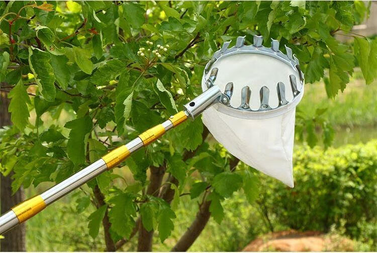 摘果神器伸缩杆10米高枝摘果神器头采摘酸枣伸缩杆10米高空摘水果板栗