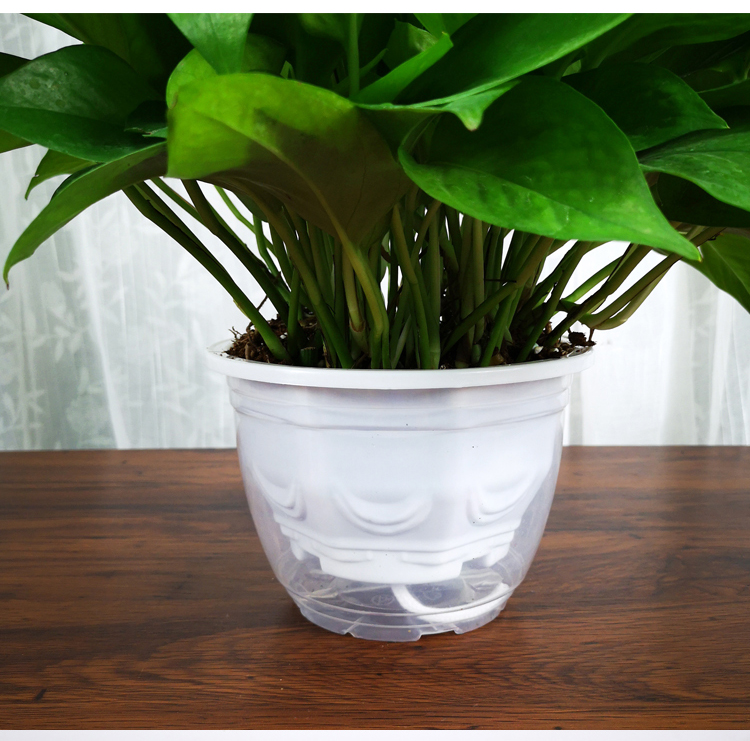 绿萝花盆自动吸水花盆免浇水懒人盆加厚塑料圆形绿箩专用透明储水