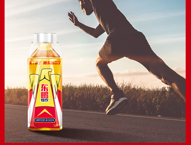 东鹏特饮维生素功能性饮料500ml*24瓶整箱批250ml饮品 500ml*24瓶