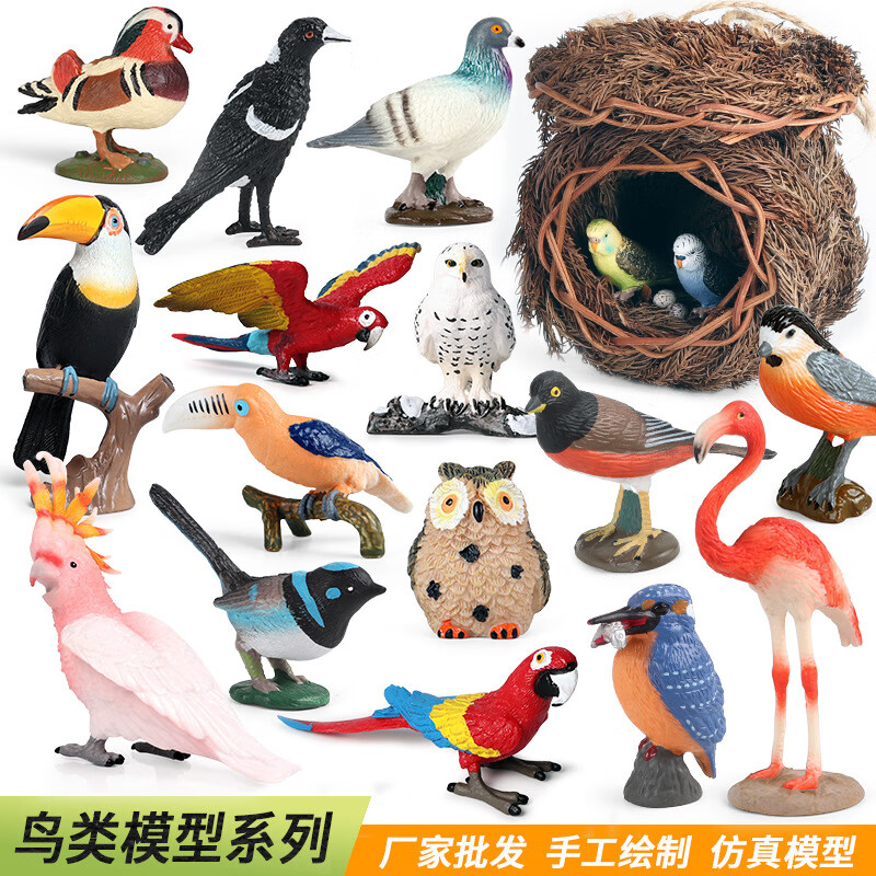 鸟类