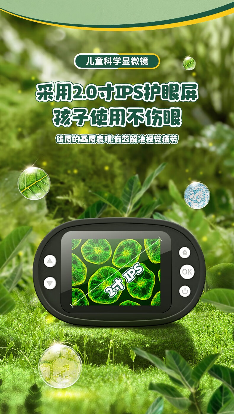 ac998a3f66333bd2.jpg