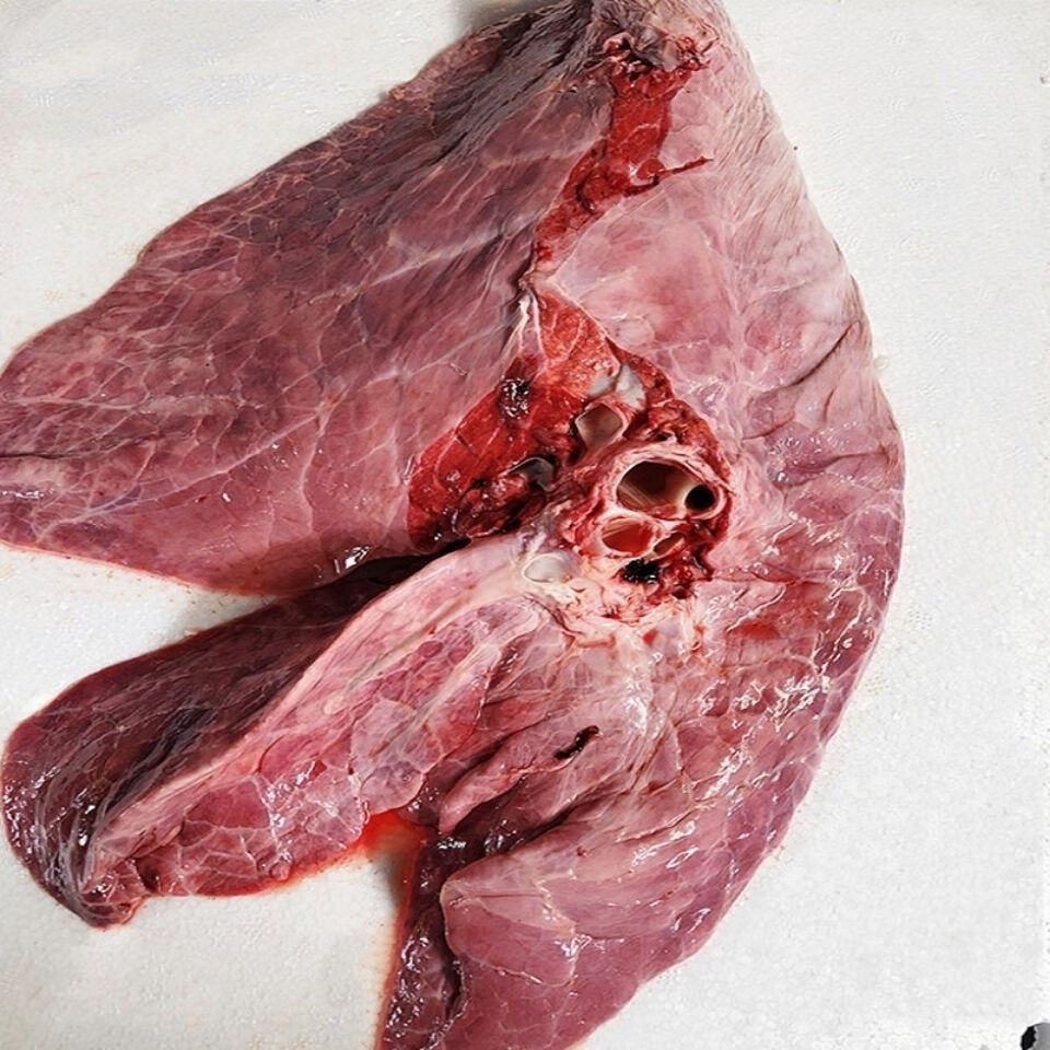 新鲜黄牛牛肉正宗山西特产农家散养黄牛新鲜生牛肺牛杂牛肉生牛肺新鲜