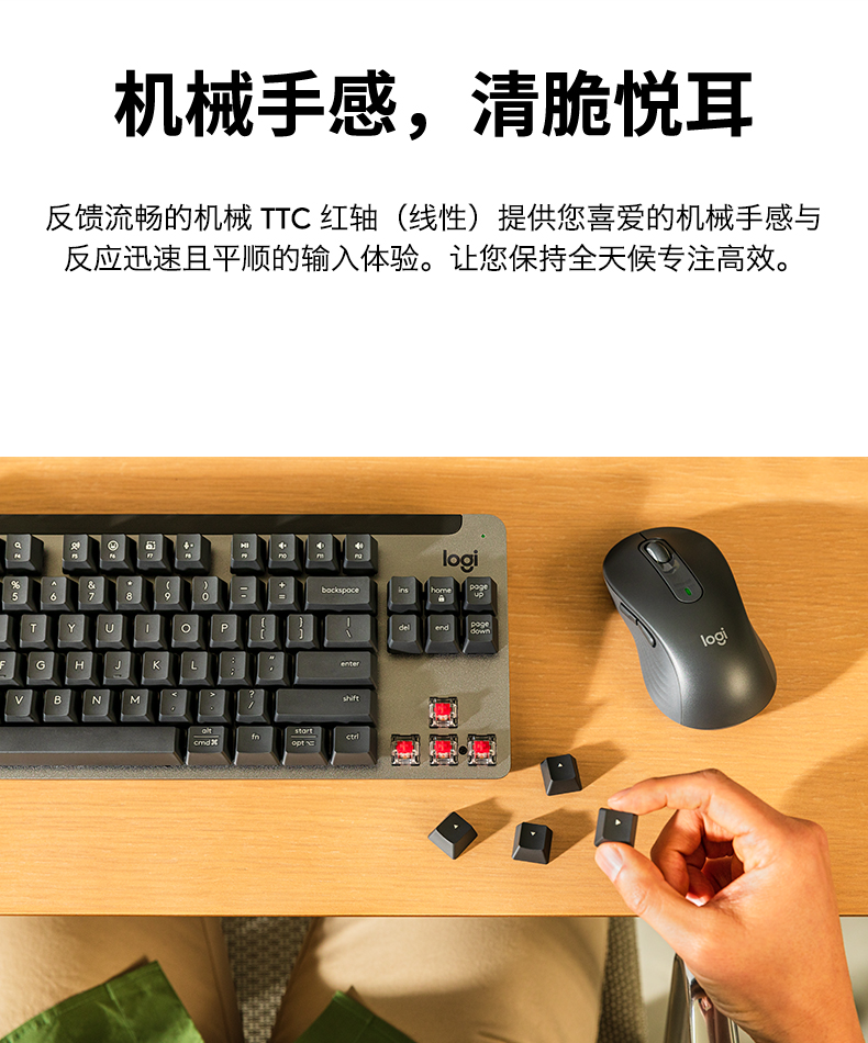 36e8870e3f5de9d5.jpg