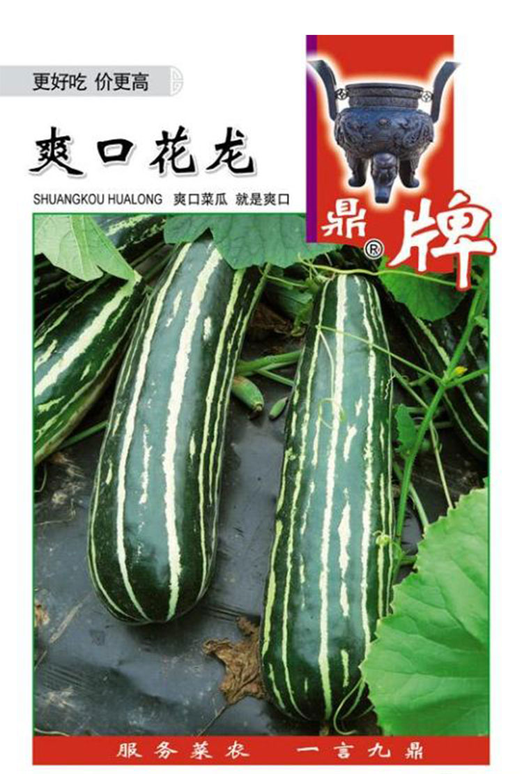 四季子春季蔬菜种子孑腌制菜春天蔬莱孑爽口花龙花皮菜瓜400粒原装