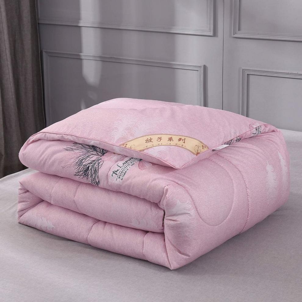 被子冬被冬季加厚保暖被芯春秋被空调被单人被双人冬被棉被棉絮简约