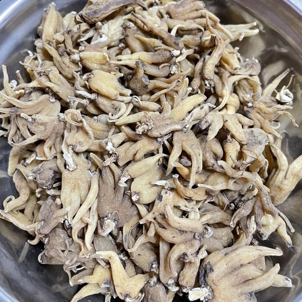 野生手掌参佛手掌正宗西藏特产无添加泡酒煲汤中药材手掌参500g两瓶装