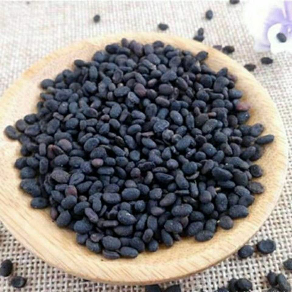 野生生精子中药材新品云南腾冲苗家特产1000g5g泡酒药料药酒内廷上用