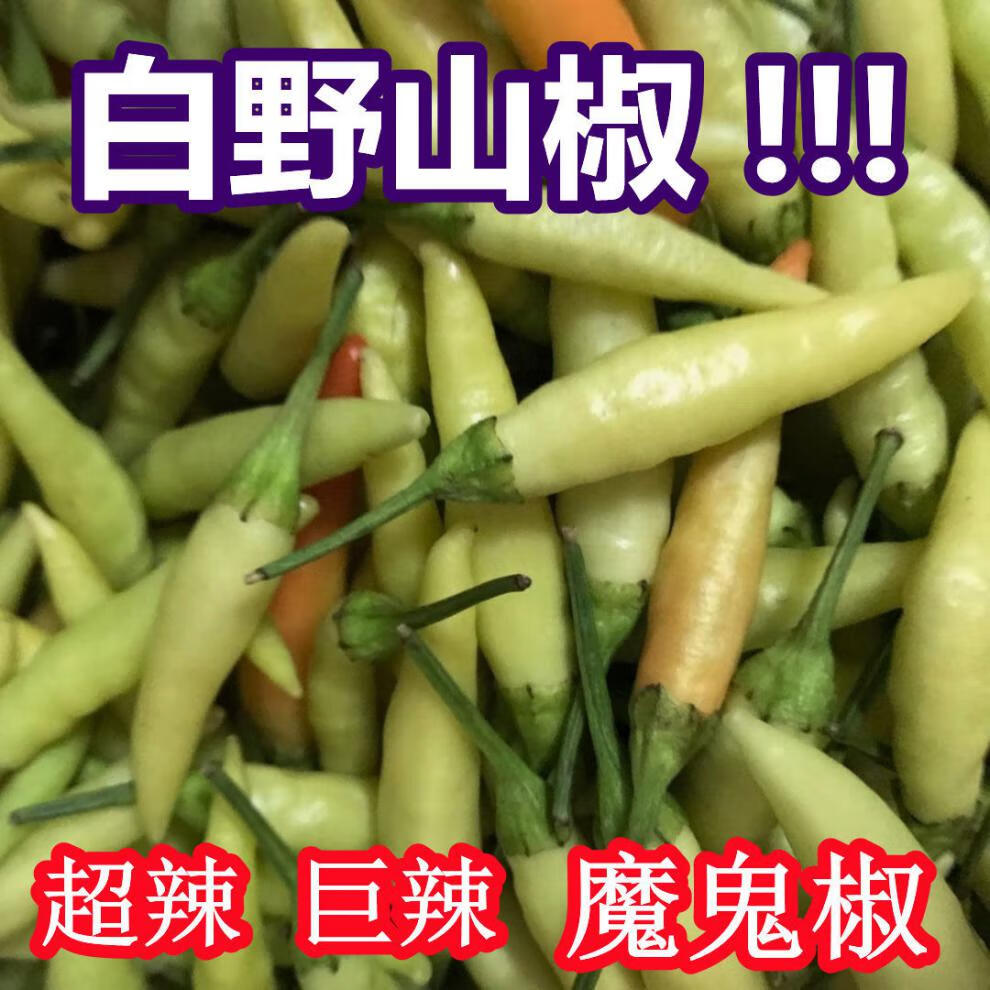 现摘新鲜蔬菜野山椒魔鬼椒超辣朝天椒特产红辣椒小米椒1斤装