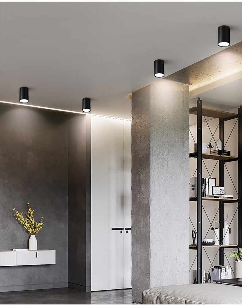 度佳行 明装筒灯 吊线餐厅前台吧台吊灯长桶圆形吊装led射灯10w20w30