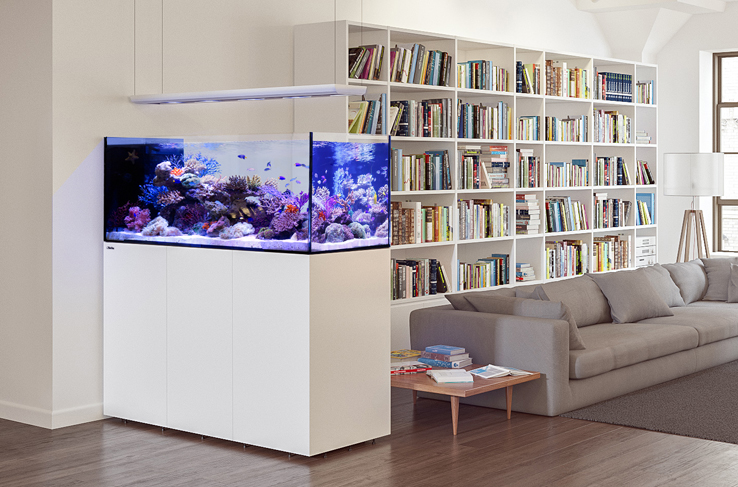 redsea红海reefer 隔断式海缸 屏风式海水珊瑚水族箱 reefer p650隔断