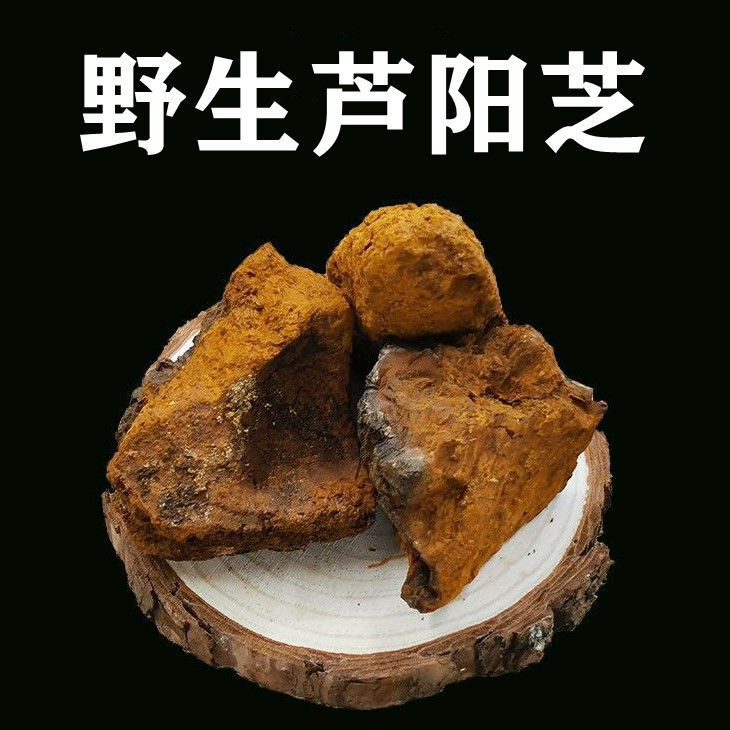 芦阳芝中药材芦阳芝 野生大粒西藏庐阳芝芦阳芝泡茶养生滋补 500克