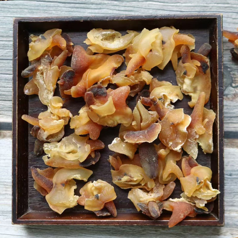 海螺肉响螺头肉 干货新鲜水产淡干响螺嘴煲汤 深海小号响螺嘴500g