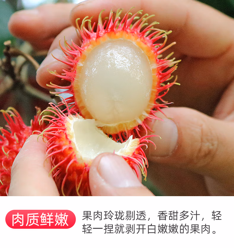 70cfc223a99bcb59.jpg.avif