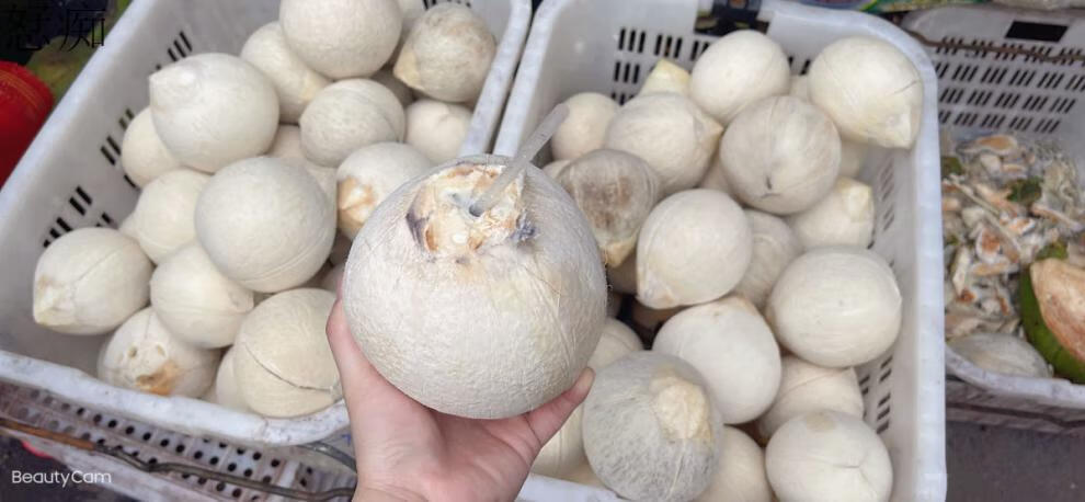 海南正宗椰子文昌新鲜白椰青椰子水果黄金椰去皮椰子整箱批发 汁多肉