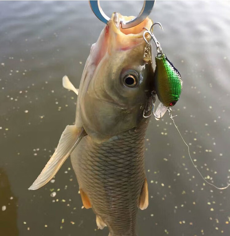 假鱼饵淡水通野钓路亚饵鲤鱼草鱼远投浮潜水鲶鱼翘嘴专攻耳 小胖8g黑