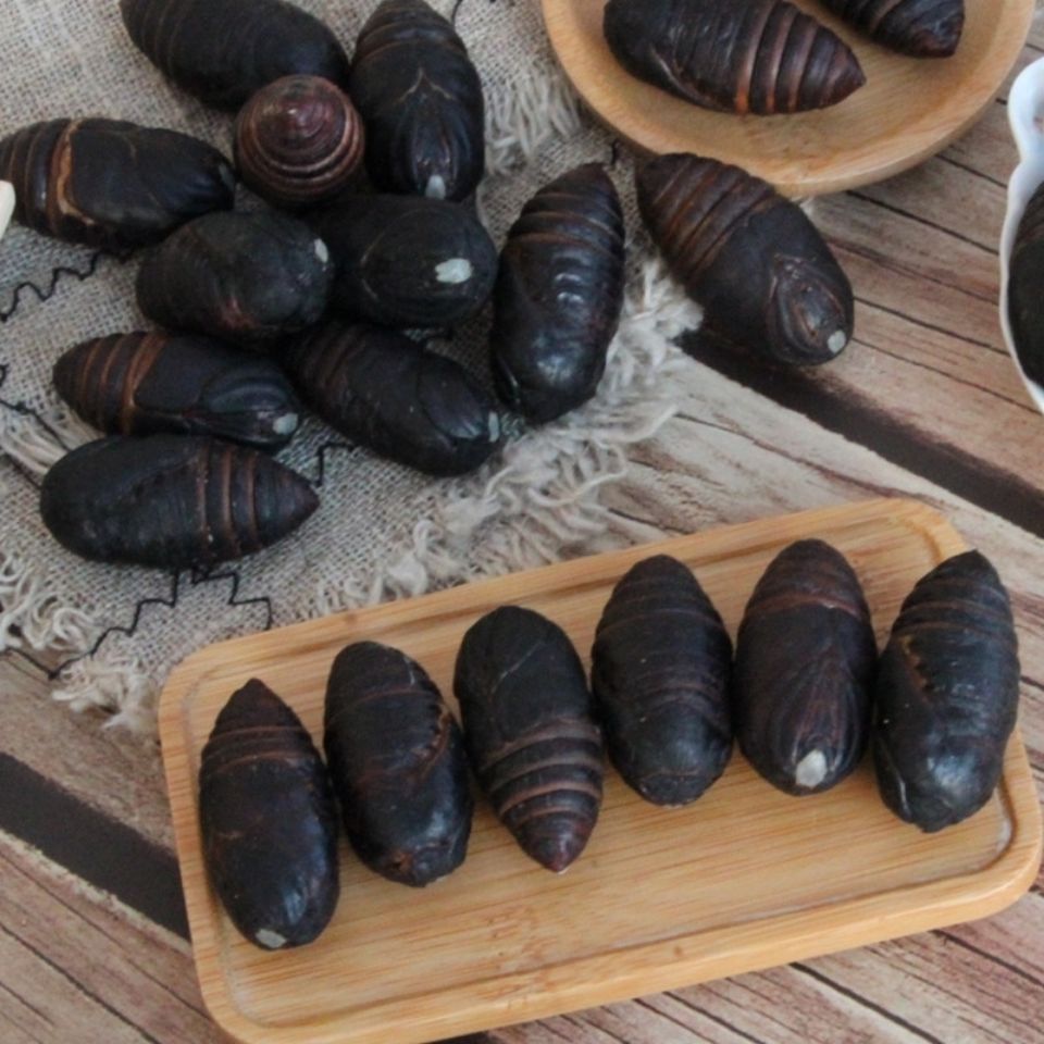 东北特产辽宁丹东柞蚕蛹新鲜活20黑蚕蛹鲜活茧蛹蝉蛹1斤