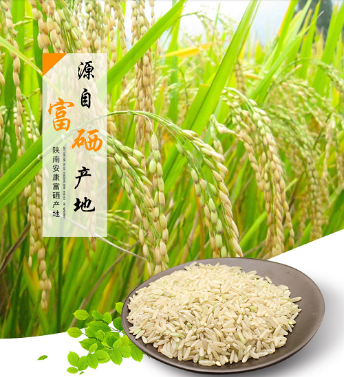 富硒糙米 早米发芽糙米新米 糙米饭健身粗粮五谷杂粮胚芽米农家富硒