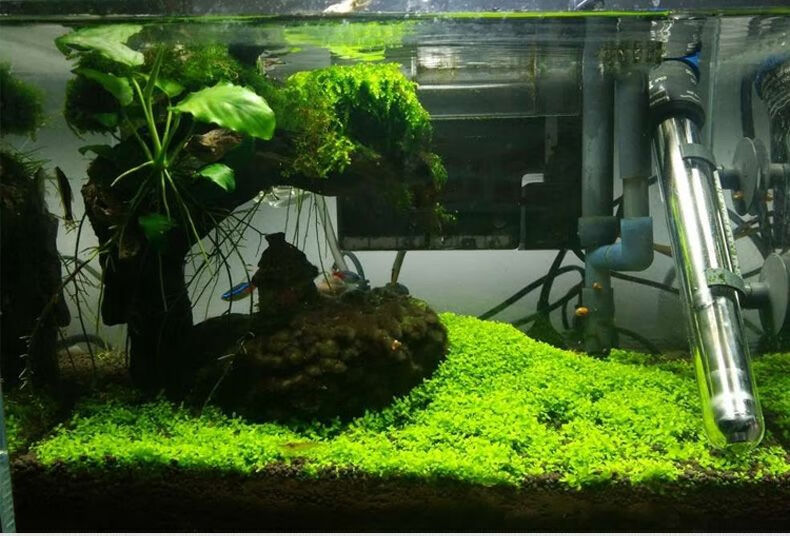 水草泥鱼缸造景底砂套餐过滤净水免洗不浑水草缸种植基肥底沙 加强