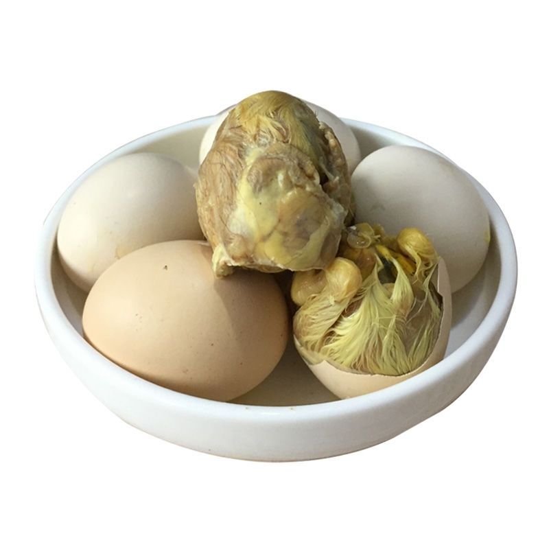 农家新鲜毛蛋生17-21天毛鸡蛋鸡胚蛋 15-16天半鸡半蛋 20只装【图片
