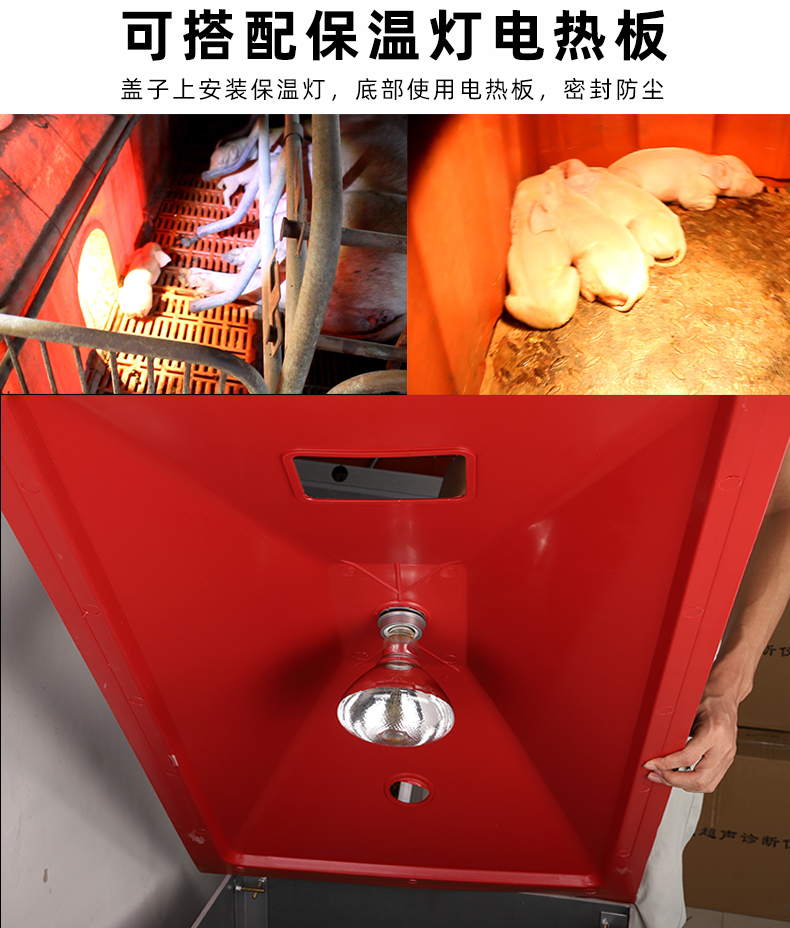 加大仔猪保温箱小猪保温箱母猪产床猪产床用电热板猪场养殖设备