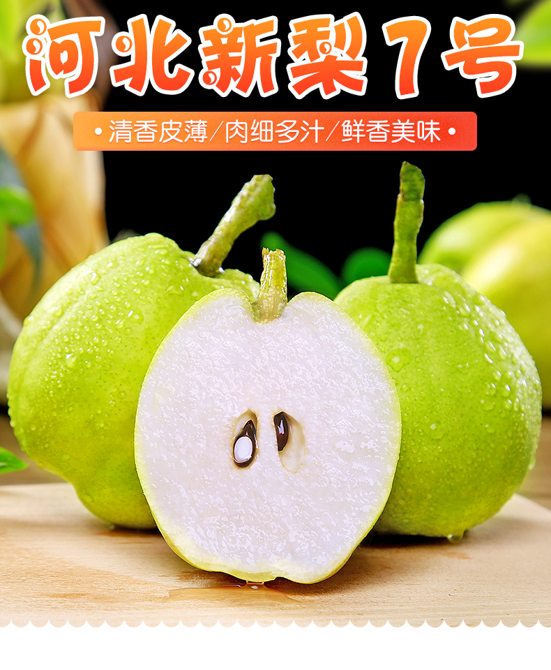 河北新梨7号9斤 当季新鲜孕妇水果特产酥脆梨子香甜多汁整箱 5斤 泡沫