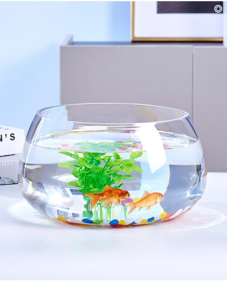 鱼缸玻璃圆形办公桌绿萝水培家用小鱼创意透明小型迷你桌面乌龟缸