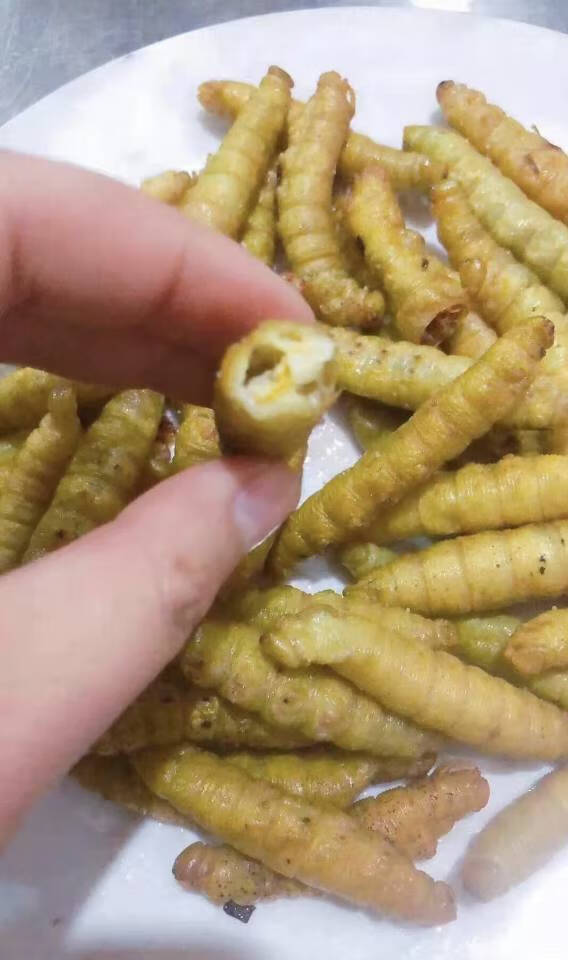山东大豆虫豆虫蛹豆虫活体豆虫大豆虫油炸豆丹山东豆虫4斤保温箱装