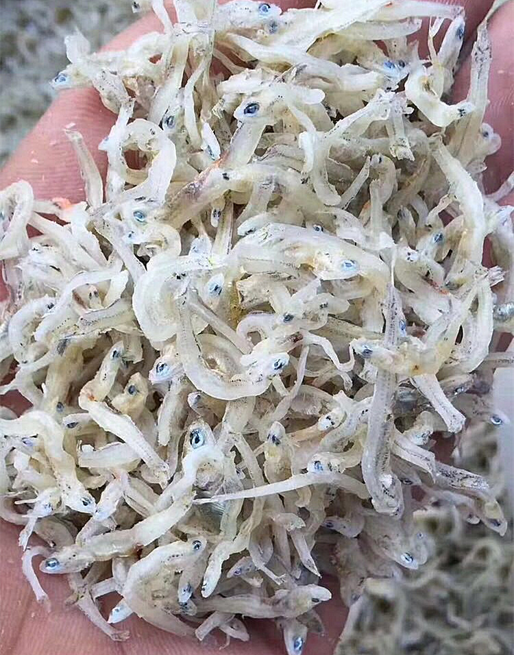 白晒丁香鱼鱼干魩仔鱼大爱淡小鱼干福建海产干货250克