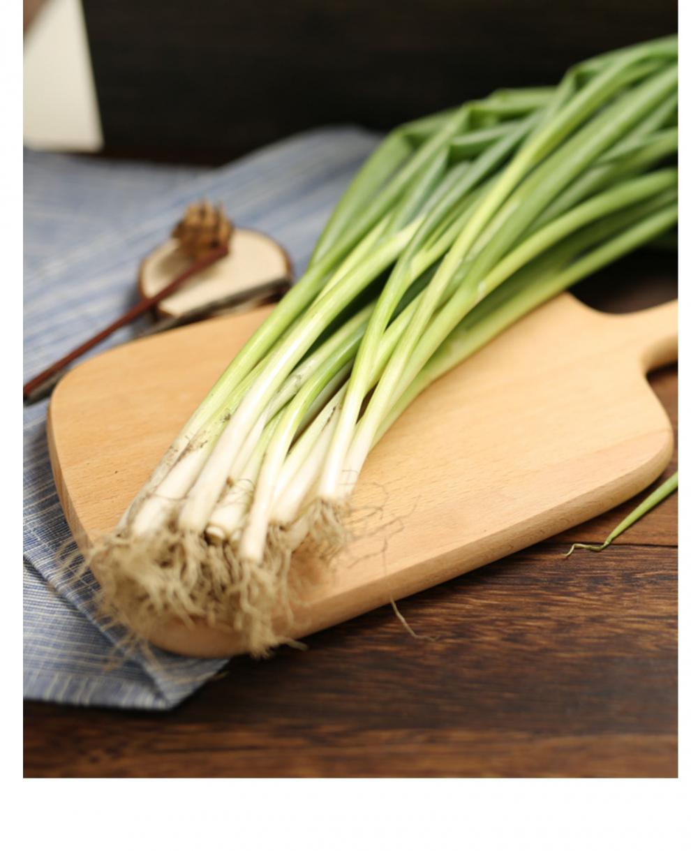东北小葱新鲜 农家自种现摘蔬菜嫩发芽葱白露葱香葱蘸酱菜 2000g