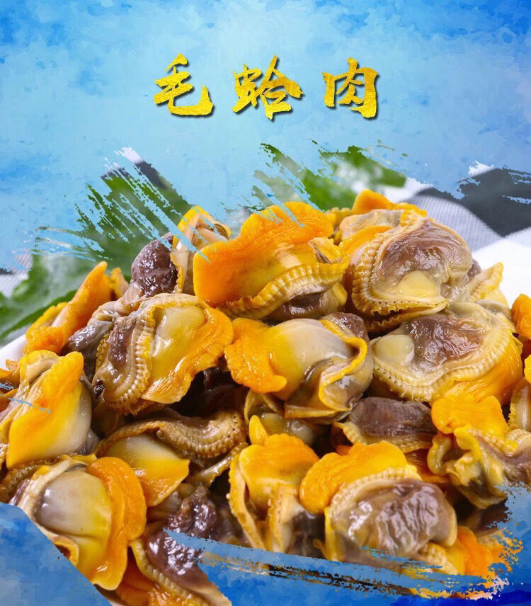 新鲜毛蛤肉血蛤肉干海货无沙毛蚬子肉肉海蛤蜊肉海鲜干货新品 有冰衣5
