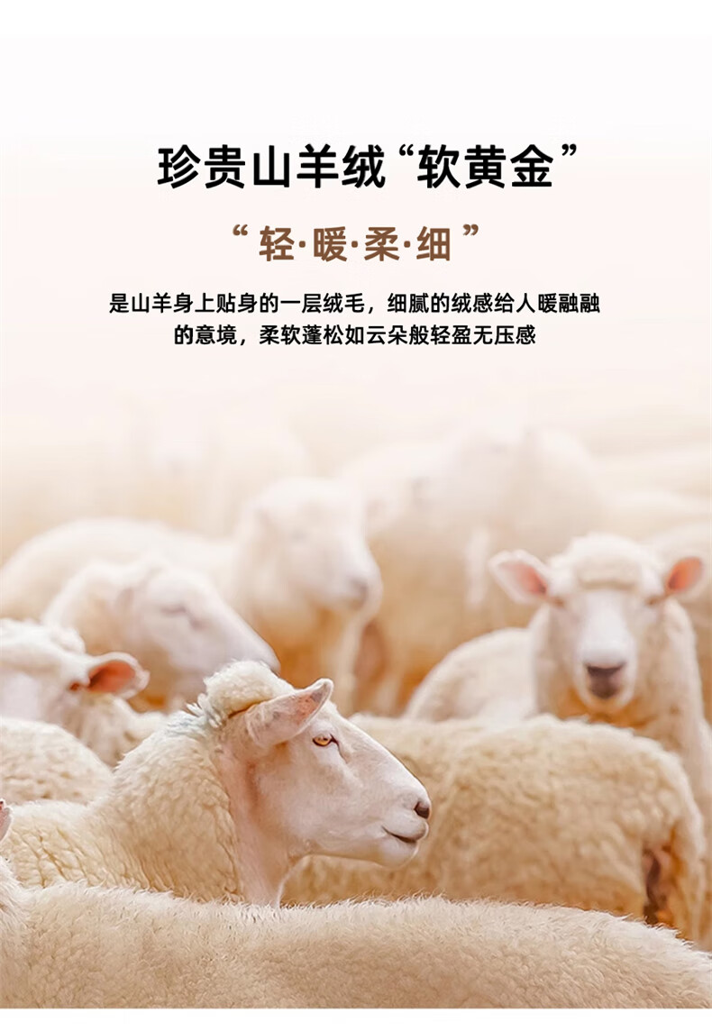 e6a94db8f4b51173.jpg