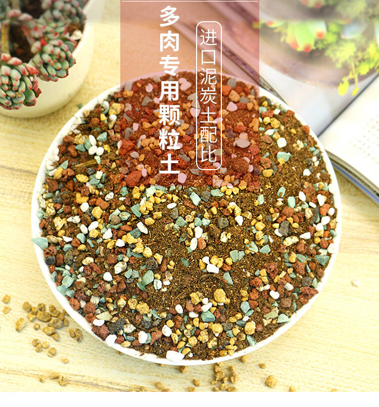 多肉植物营养土泥炭土多肉土叶插换盆土多肉专用 进口纯泥炭土5升【约