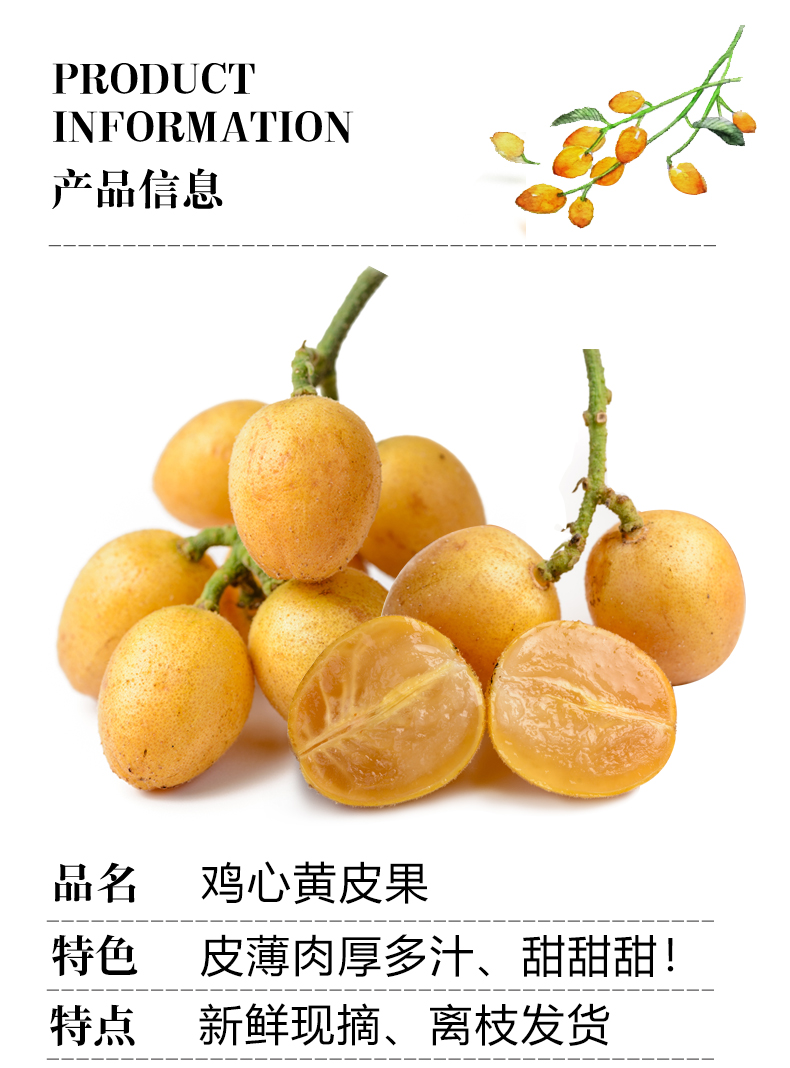 广东鸡心黄皮果新鲜现摘冰糖黄皮酸甜水果新鲜整箱当季特产当季孕妇