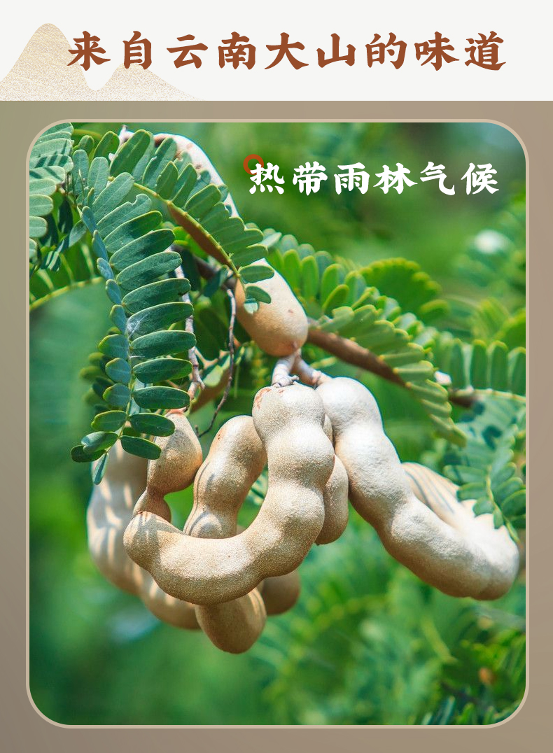 酸角云南特产新鲜野生大甜角孕妇零食甜酸角酸甜豆角酸枣糕罗望子 大