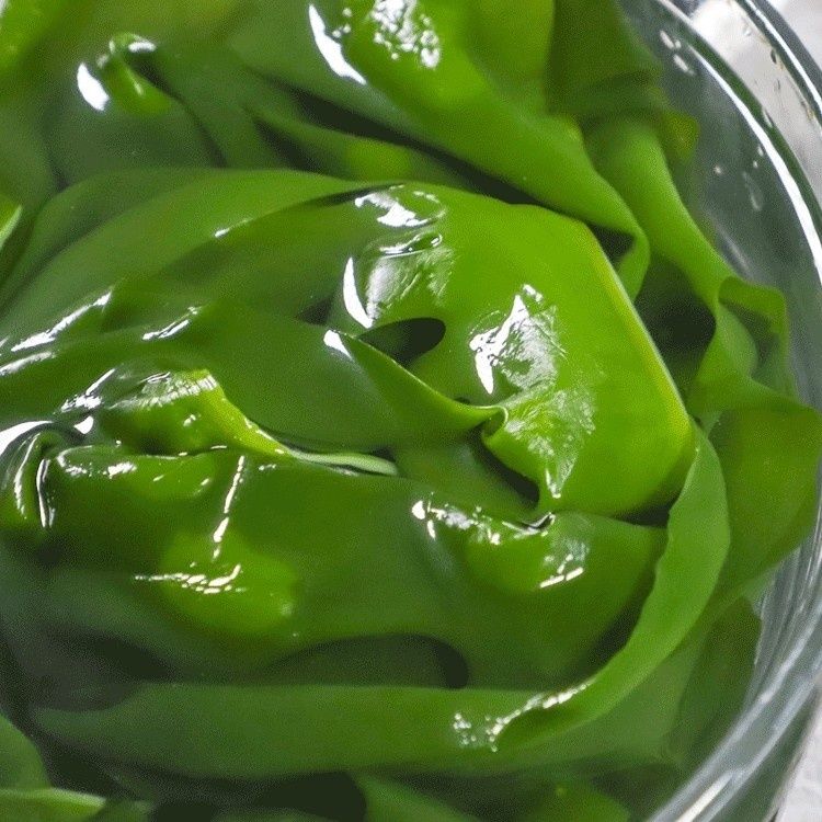 盐渍裙带菜海白菜海藻海带凉拌菜麻辣烫食材批发姬禄福5斤
