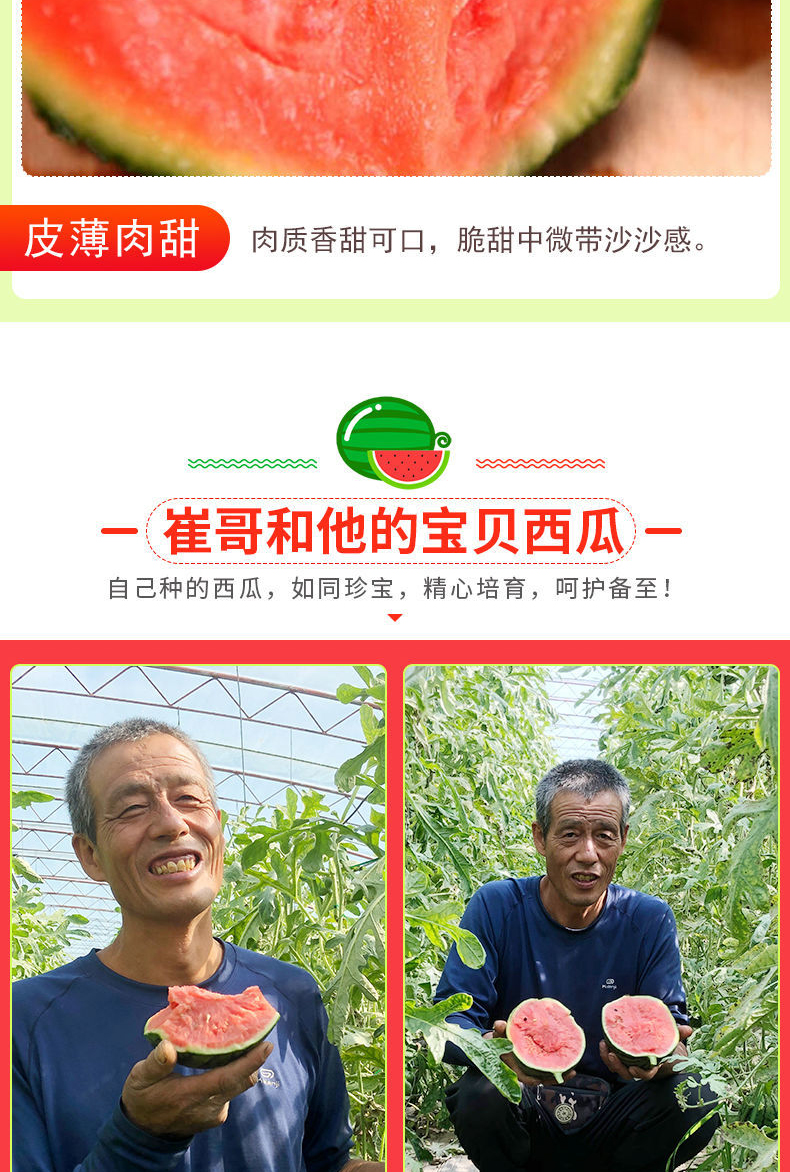 jd快递北京城庞各庄西瓜御瓜贡瓜大兴吊瓜l600西瓜整箱新鲜水果甜瓜