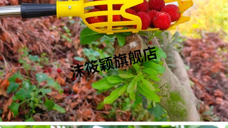 蓝莓采摘器 水果采摘神器工具高空摘果剪摘柿子橘子伸缩摘果器杏杨梅