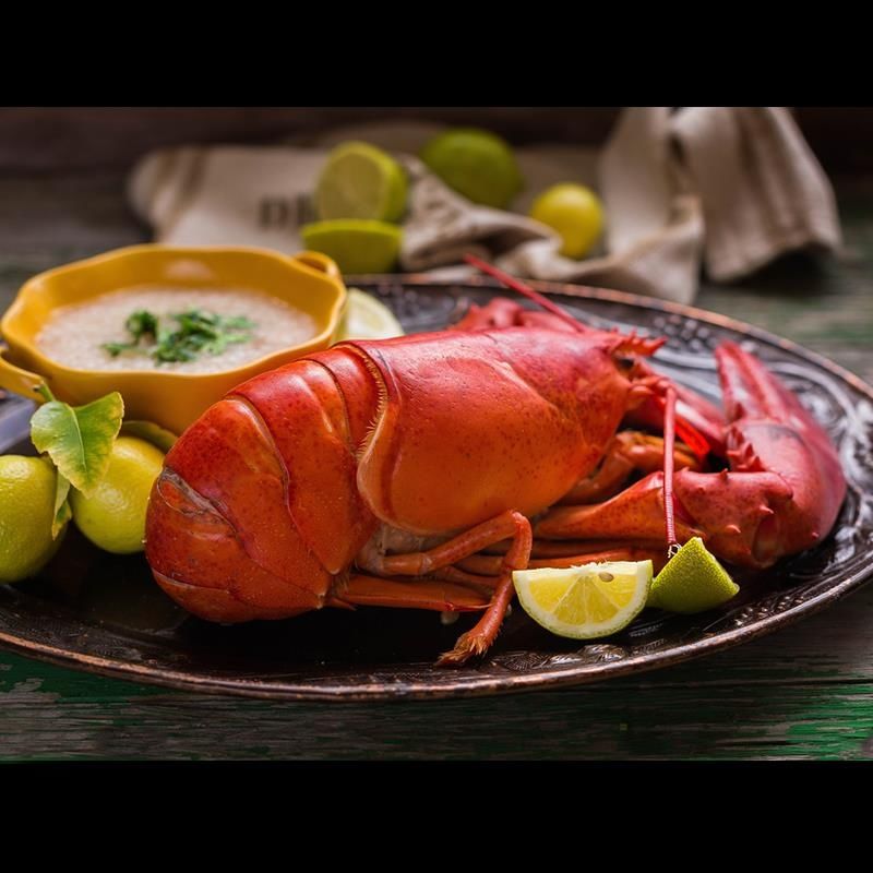 波士顿龙虾鲜活速冻加拿大海鲜水产冰鲜大波龙特大1-15斤一只 2.1-2.