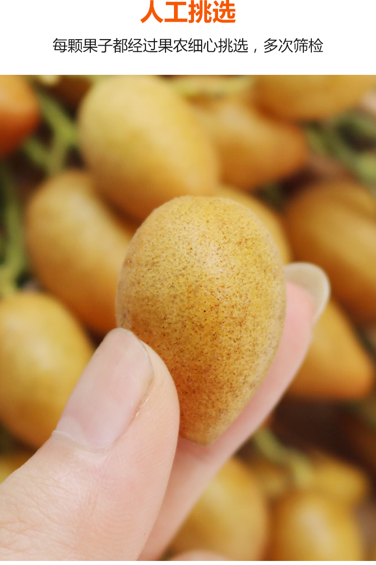 黄皮果果酸甜水果当季广东籽黄皮果黄弹子 精3斤装鸡心礼盒定制款 精3
